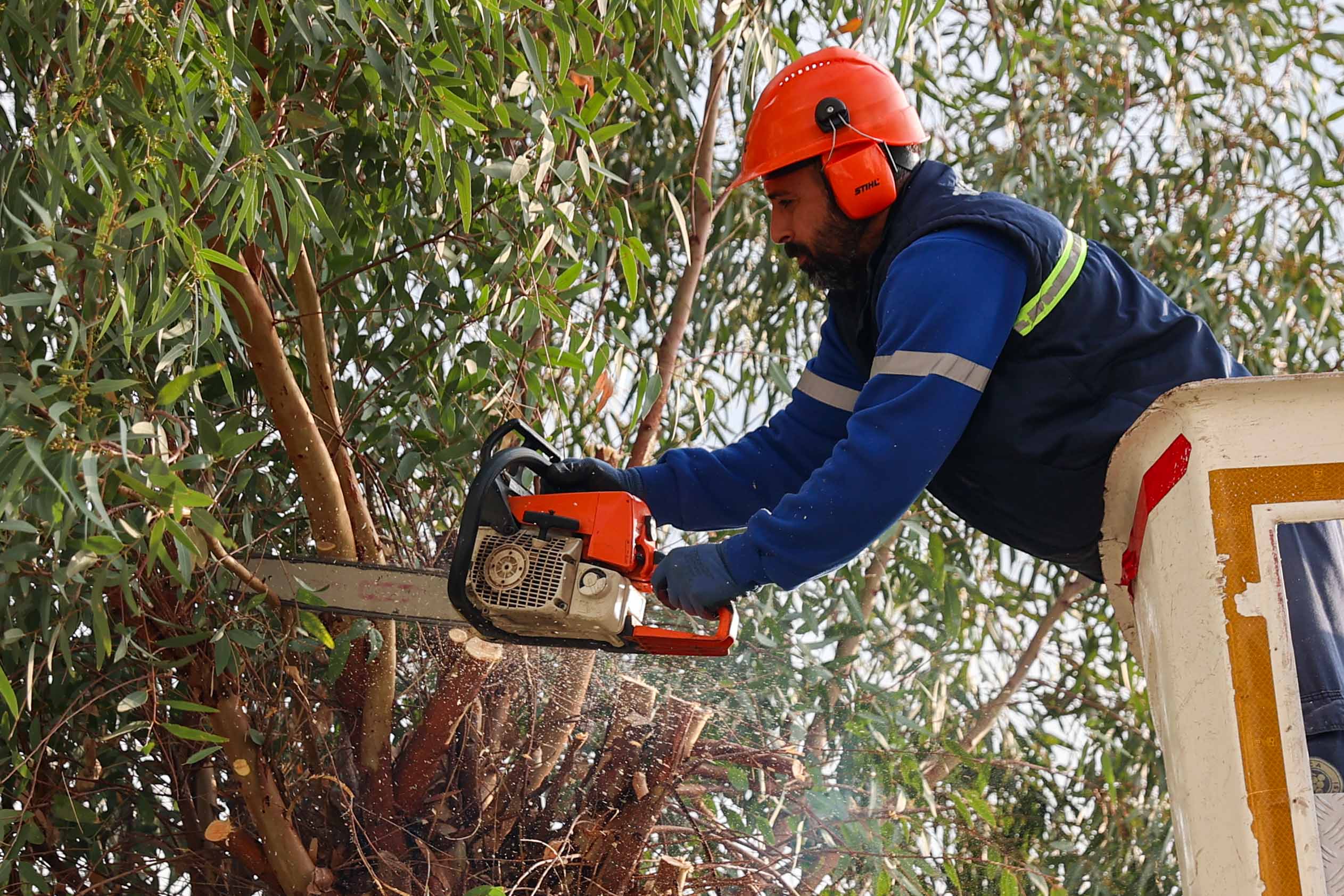 Buca’da Budama Seferberliği