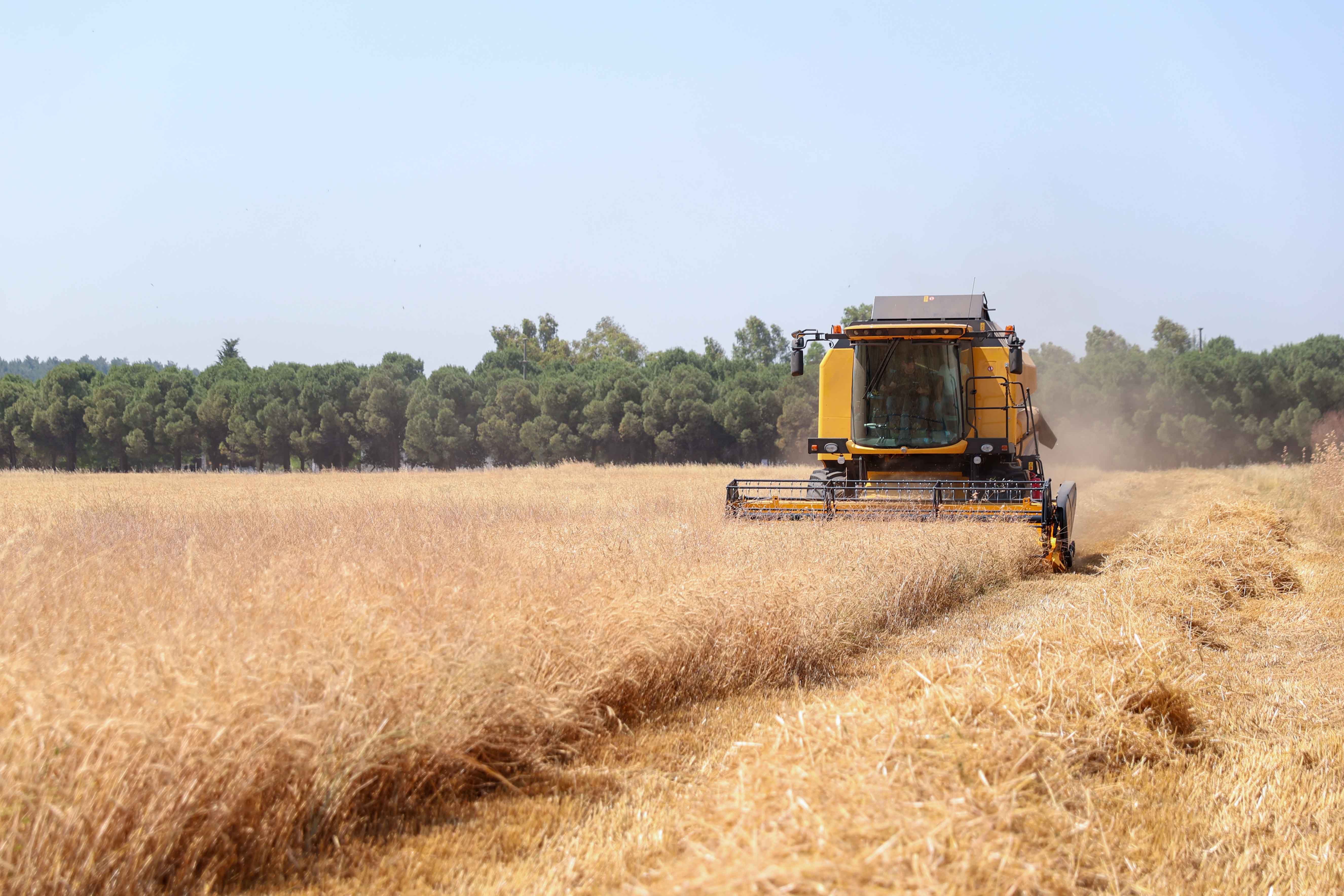 Tarımda Buca Modeli Adım Adım İlerliyor