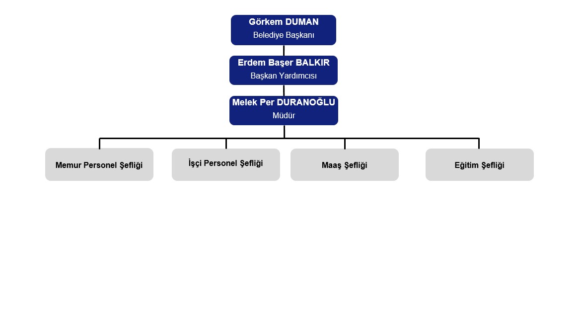 İnsan Kaynakları ve Eğitim Müdürlüğü